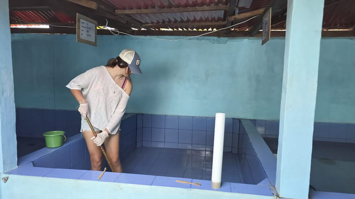 Frivilligt arbejde på Nusa Penida, Indonesien