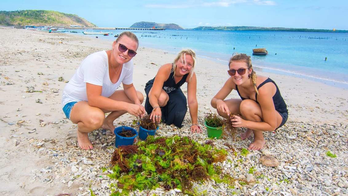 Frivilligt arbejde på Nusa Penida, Indonesien