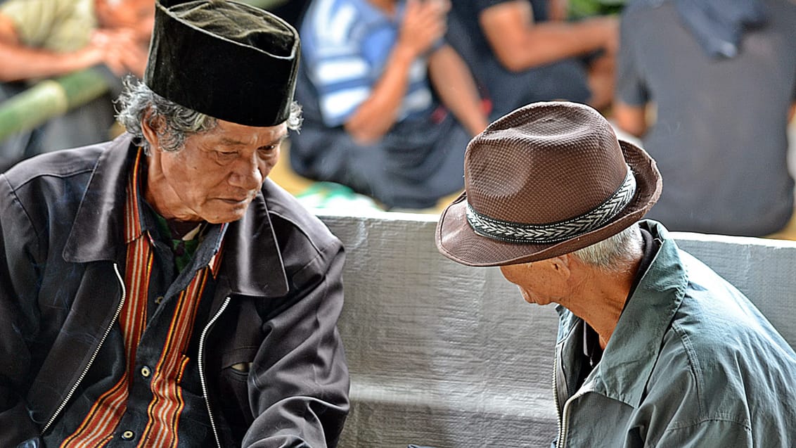 Lokale mænd til ceremoni, Toraja, Sulawesi Lokale mænd til ceremoni, Toraja, Sulawesi