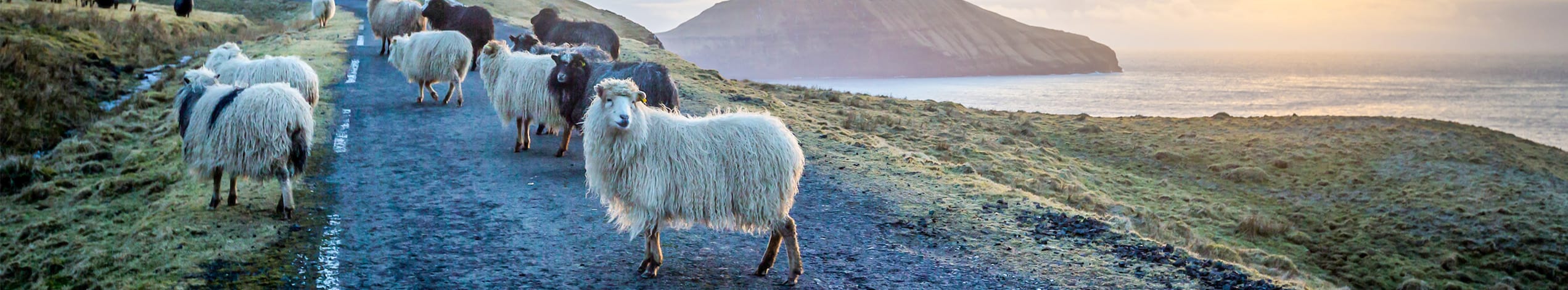 Tre-generationersrejse på Færøerne