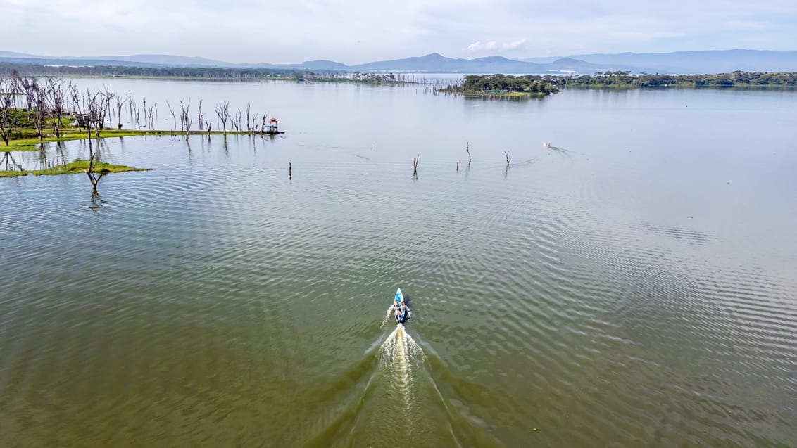 Bådsafari på Lake Naivasha