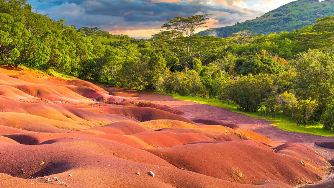 7 coloured earth