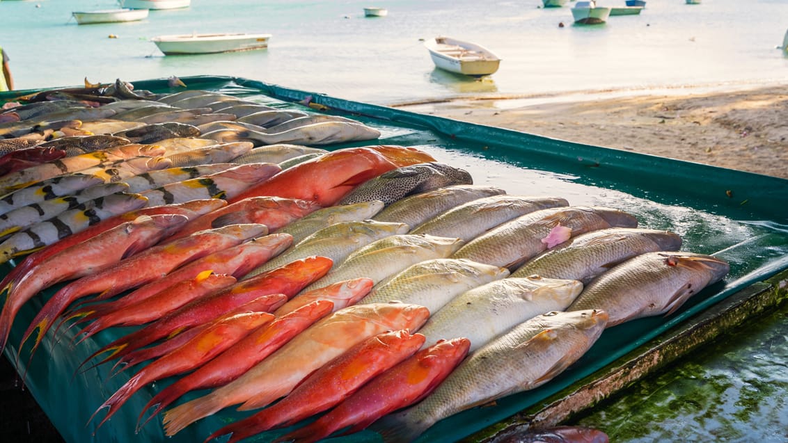 Fiskemarked Mauritius