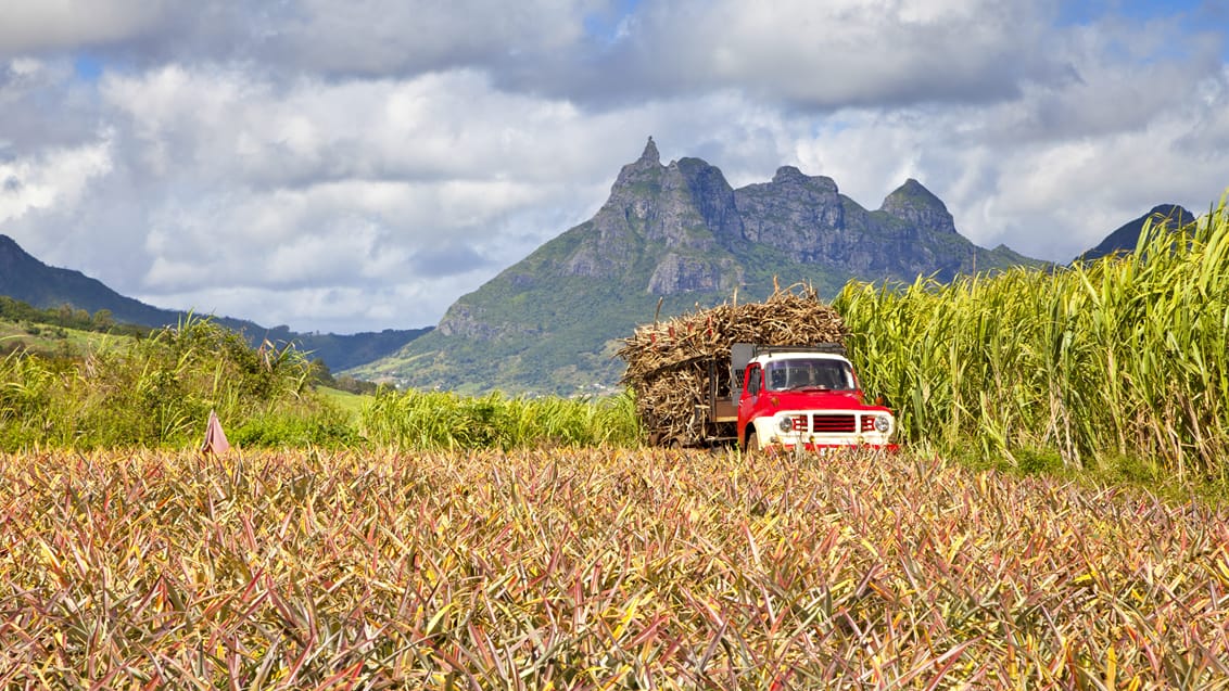 Mauritius og Rodrigues