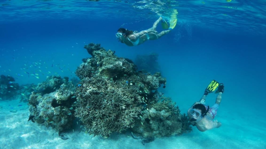 Tag med Jysk Rejsebureau på eventyr til Cook-øerne