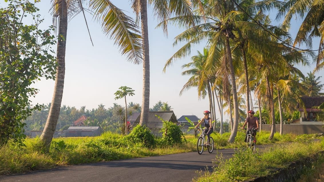 Cykeltur på Bali, Indonesien