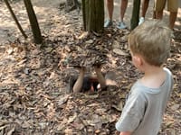 Familierejse til Vietnam – vores oplevelser fra nord til syd