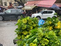 Familierejse til Vietnam – vores oplevelser fra nord til syd