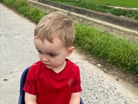 Familierejse til Vietnam – vores oplevelser fra nord til syd