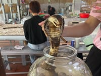 Familierejse til Vietnam – vores oplevelser fra nord til syd