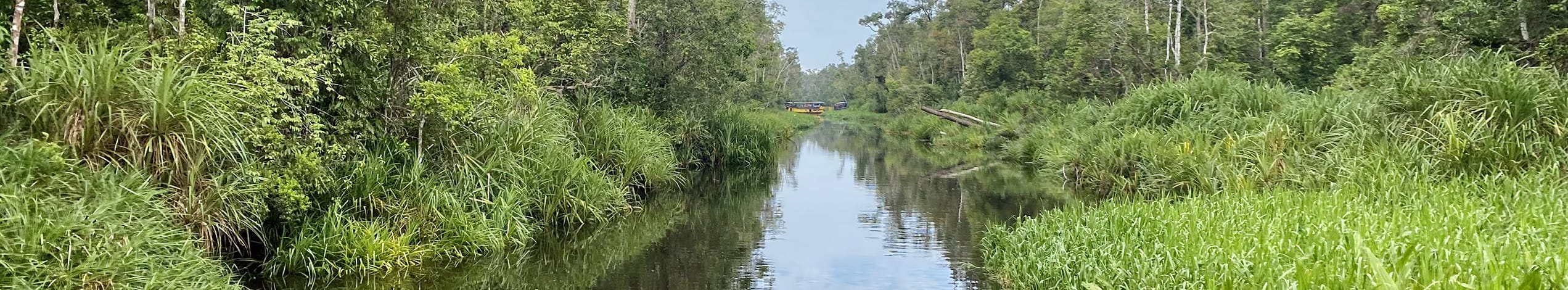 Husbåd gennem Borneos jungle, Indonesien