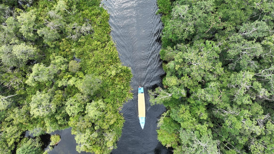 Husbåd gennem Tanjung Nationalpark, Borneo