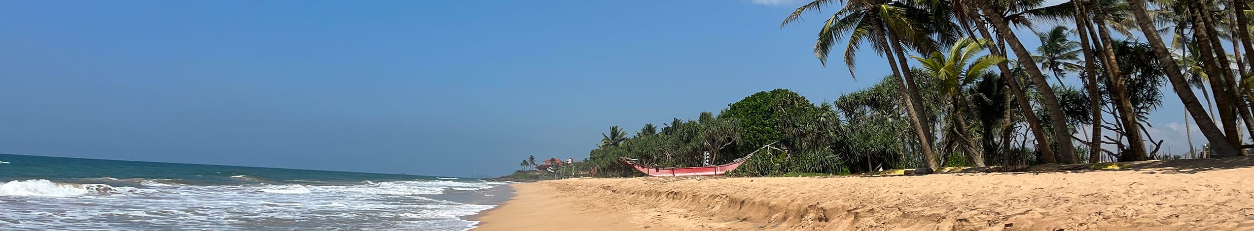 Rejse til Sri Lanka med familien – få de ultimative familieoplevelser!