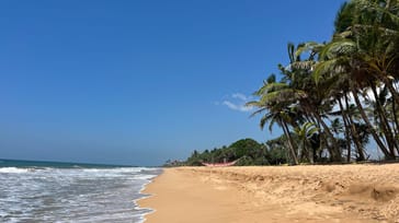 Rejse til Sri Lanka med familien – få de ultimative familieoplevelser!