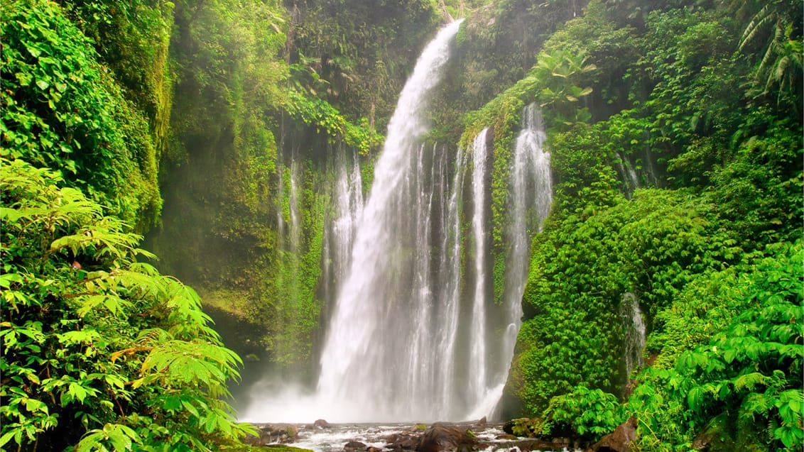 Sendang Gile-vandfald, Lombok Sendang Gile-vandfald, Lombok