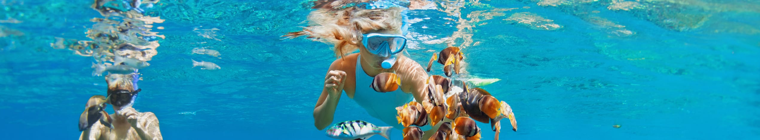 Snorkeltur, Gili-øerne