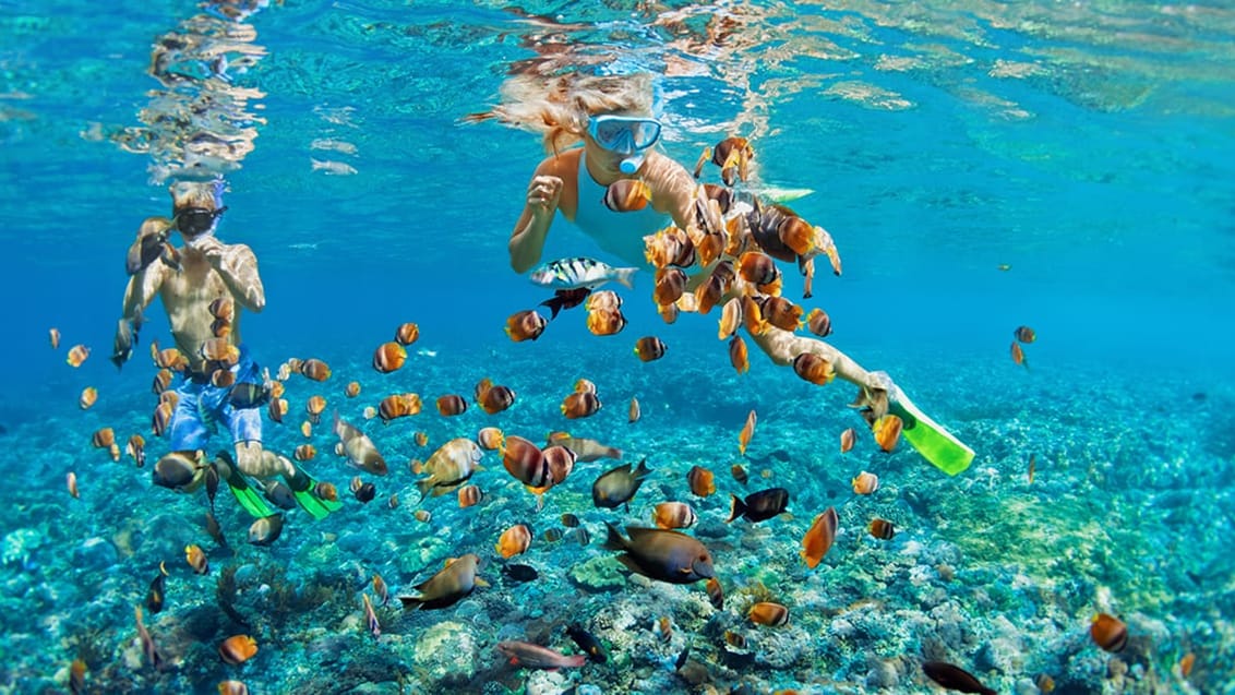 Snorkeltur, Gili-øerne Snorkeltur, Gili-øerne