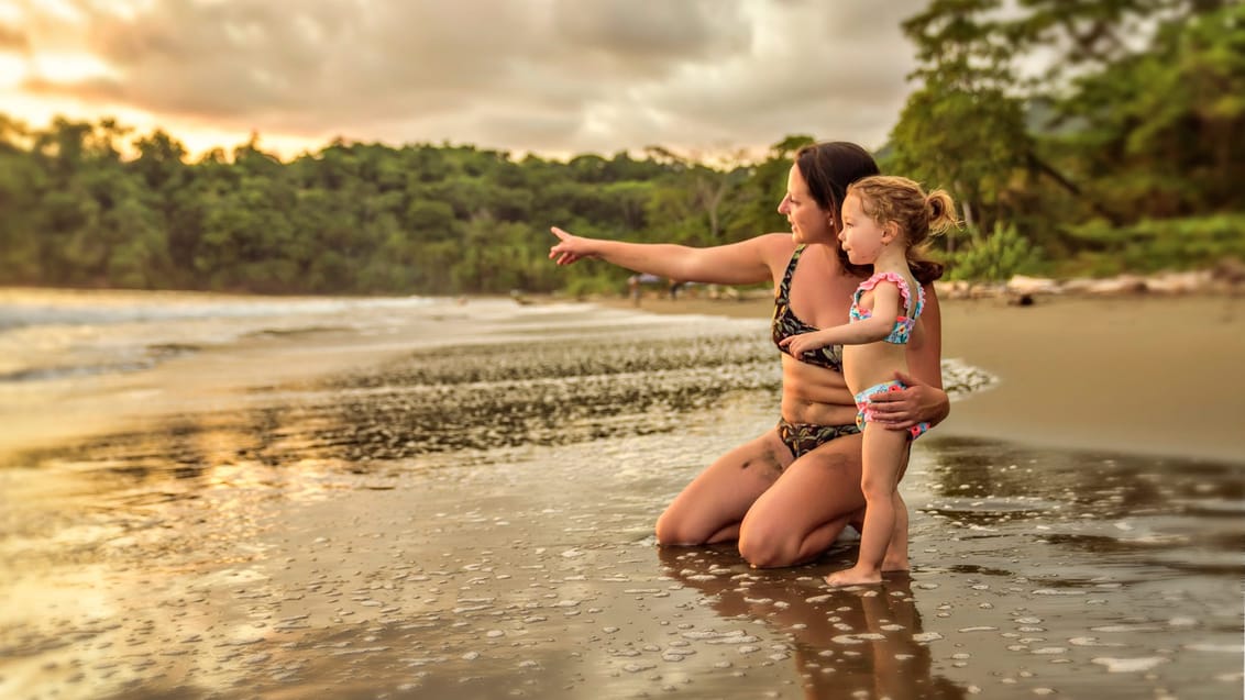 Strandliv på Nicoya-halvøen, Costa Rica