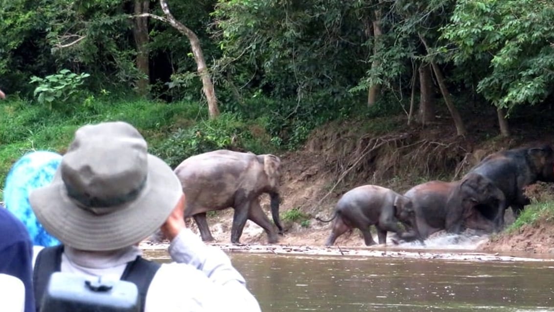 Ula Muda Nationalpark