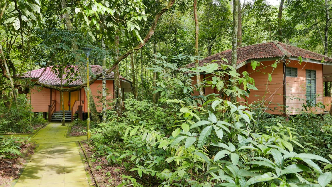 Ula Muda Nationalpark