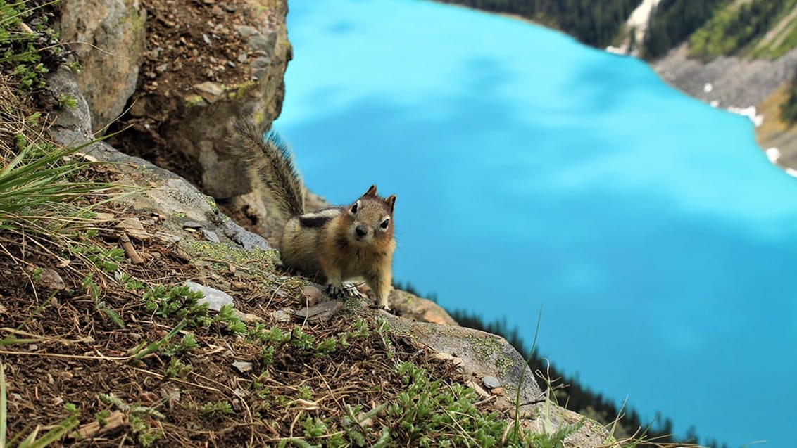Barselsrejse i det vestlige Canada