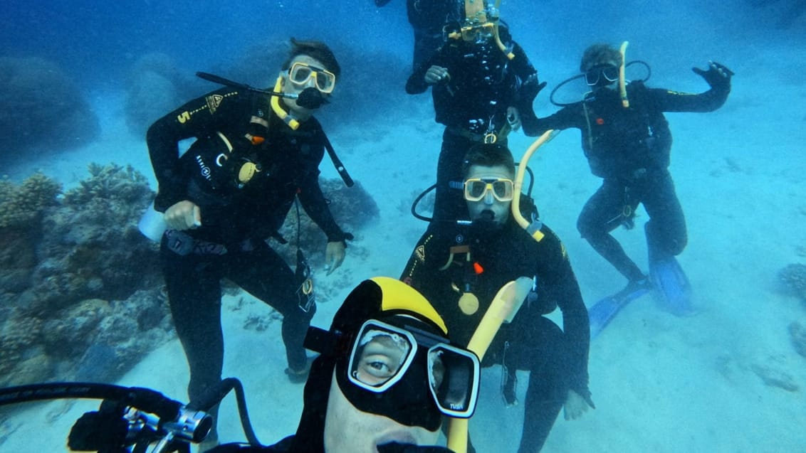 Cairns, Dykning ved Great Barrier Reef