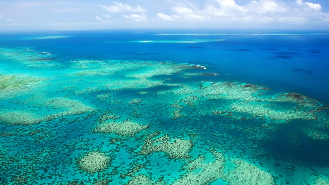 Cairns, Great Barrier Reef