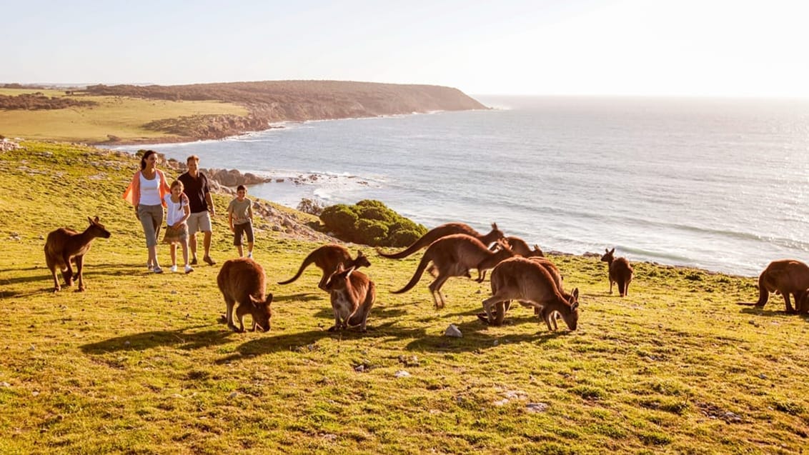 Familierejse til Australien og Thailand