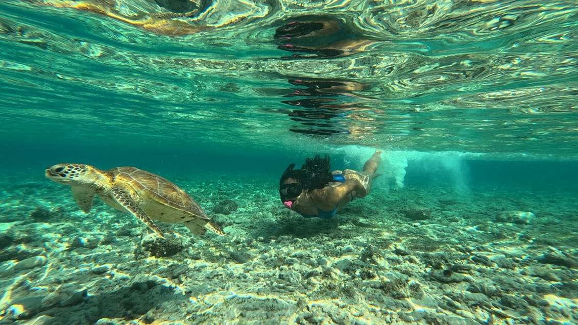 Gili Teawangan, snorkel