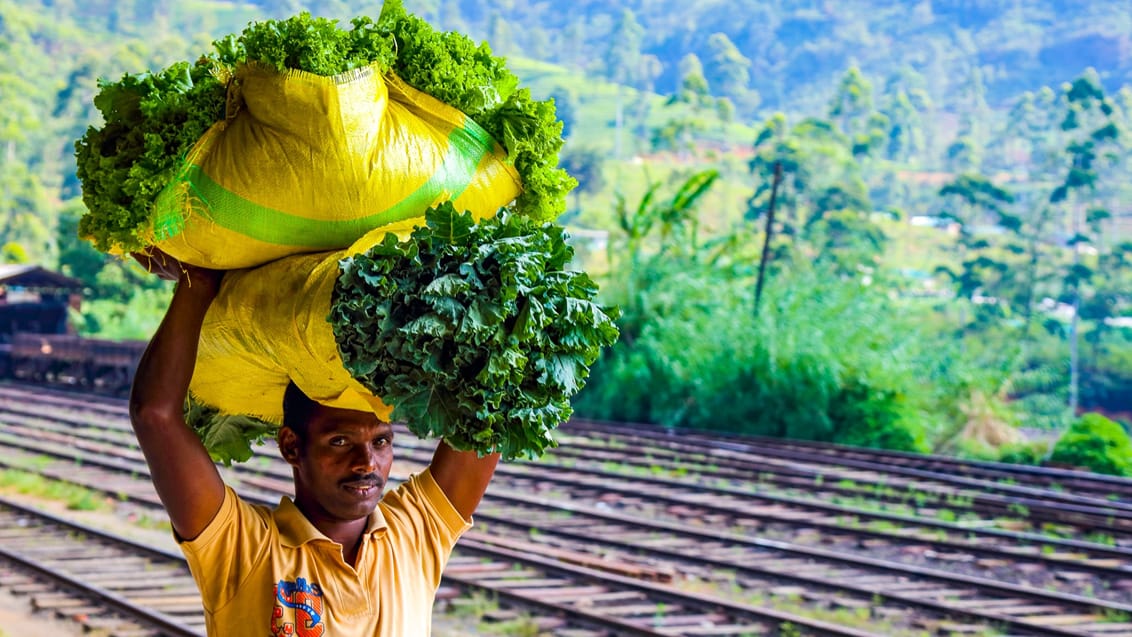 Mød de imødekommende lokale på Sri Lanka