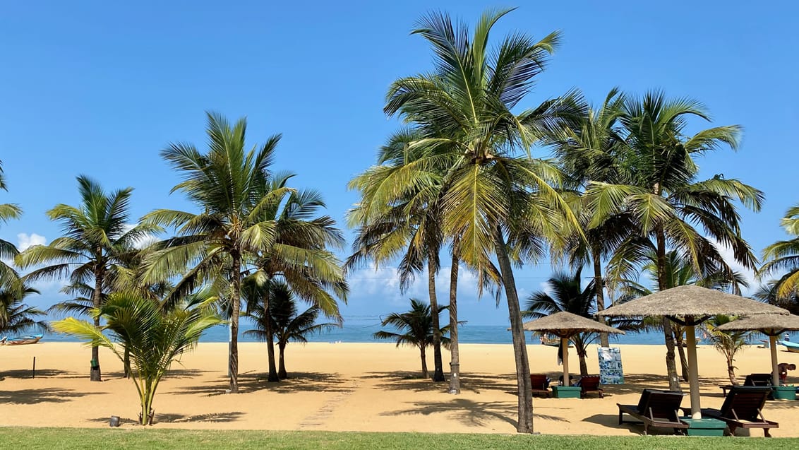 Negombo beach