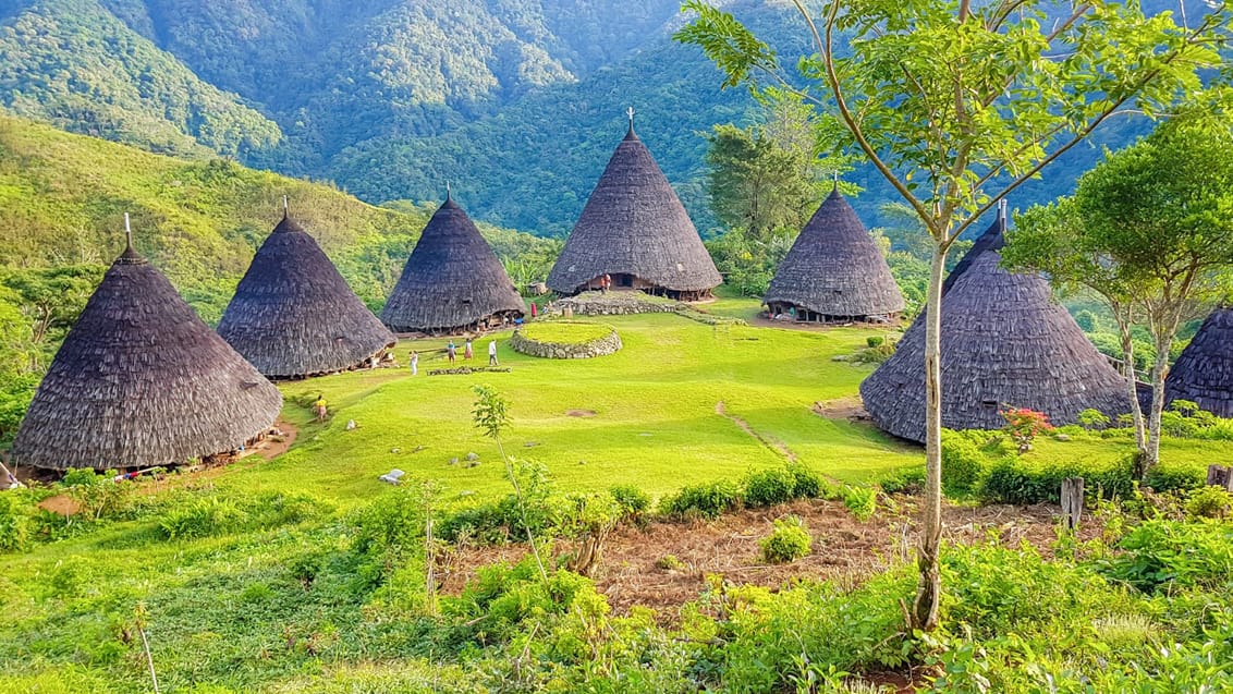 Trek til Waw Rebo, Flores