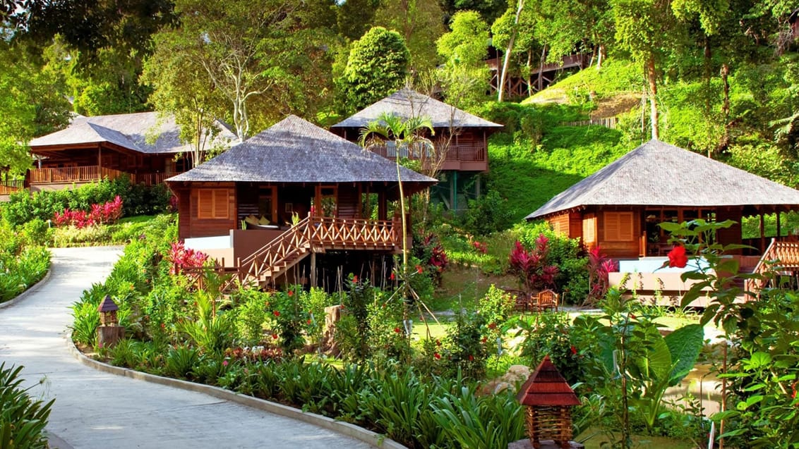 Bungaraya Island Resort