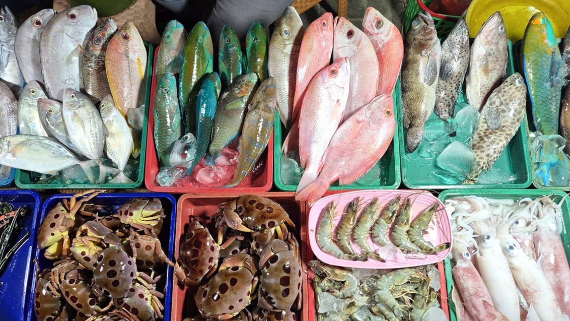 Friskfanget fisk på Karimunjawa, Java