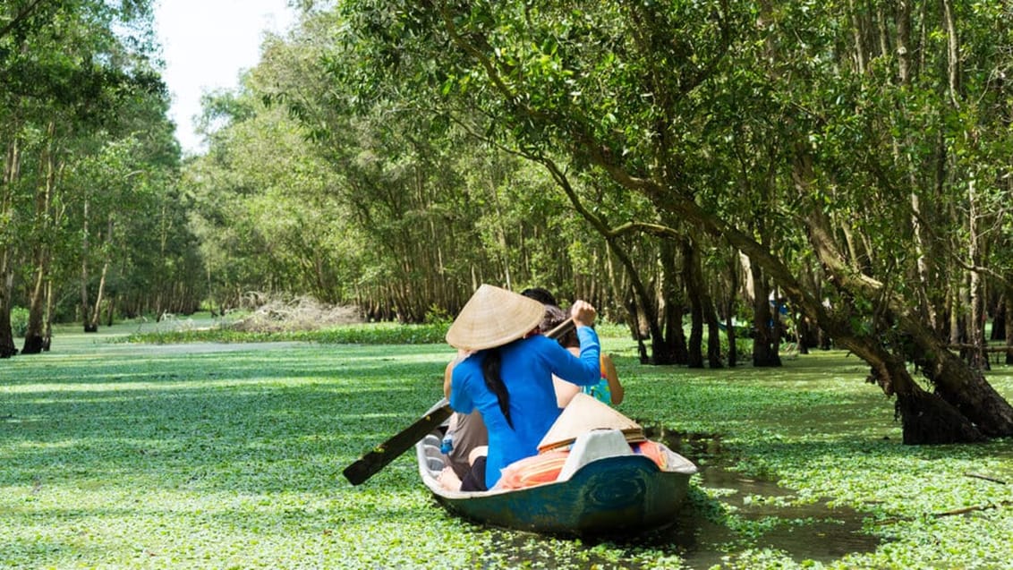 Mekong delta, Vietnam