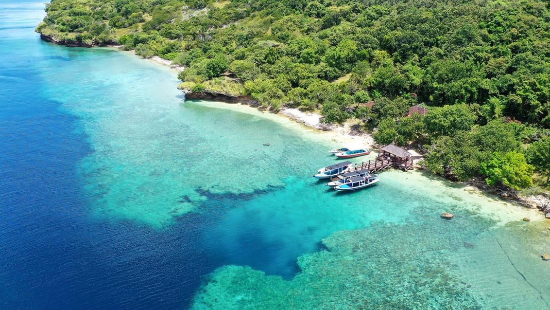 Menjangan Nationalpark, Bali