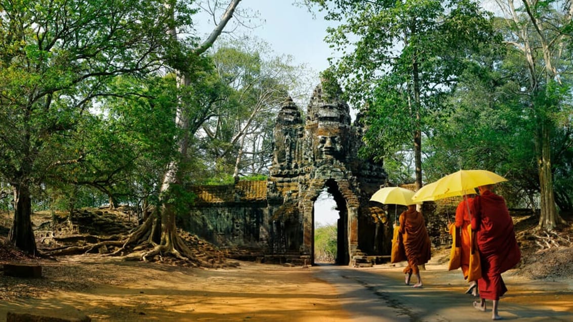 Munke ved Angkor Wat