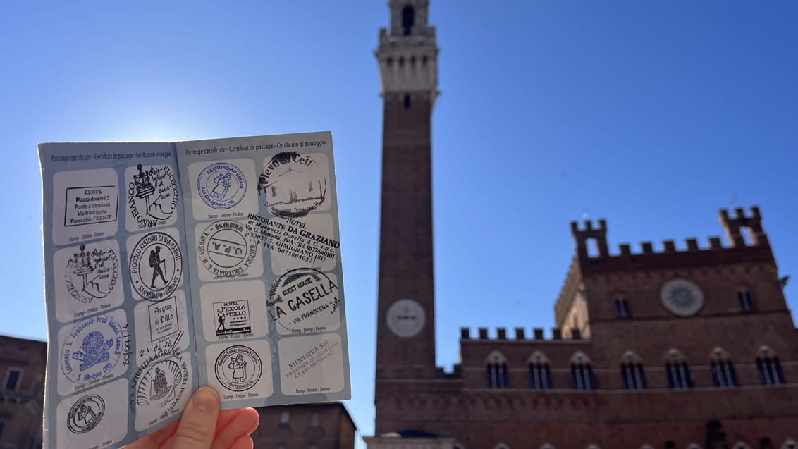 Pilgrimspas, Piazza do Campo, SIena, Via Francigena i Toscana