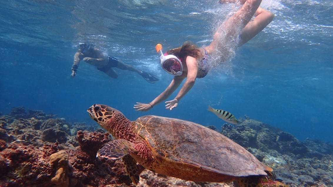 Snorkling, Borneo