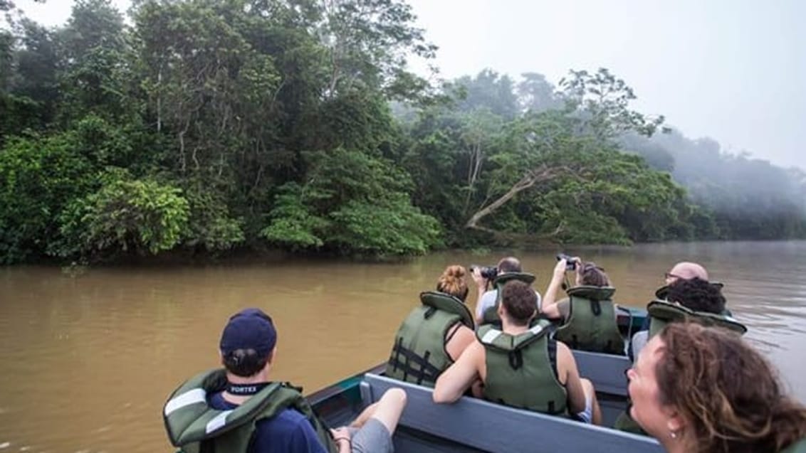 Sukau Rainforest Borneo