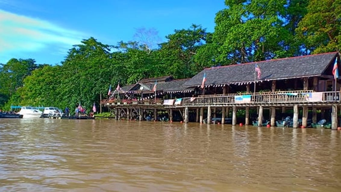 Sukau Rainforest Lodge