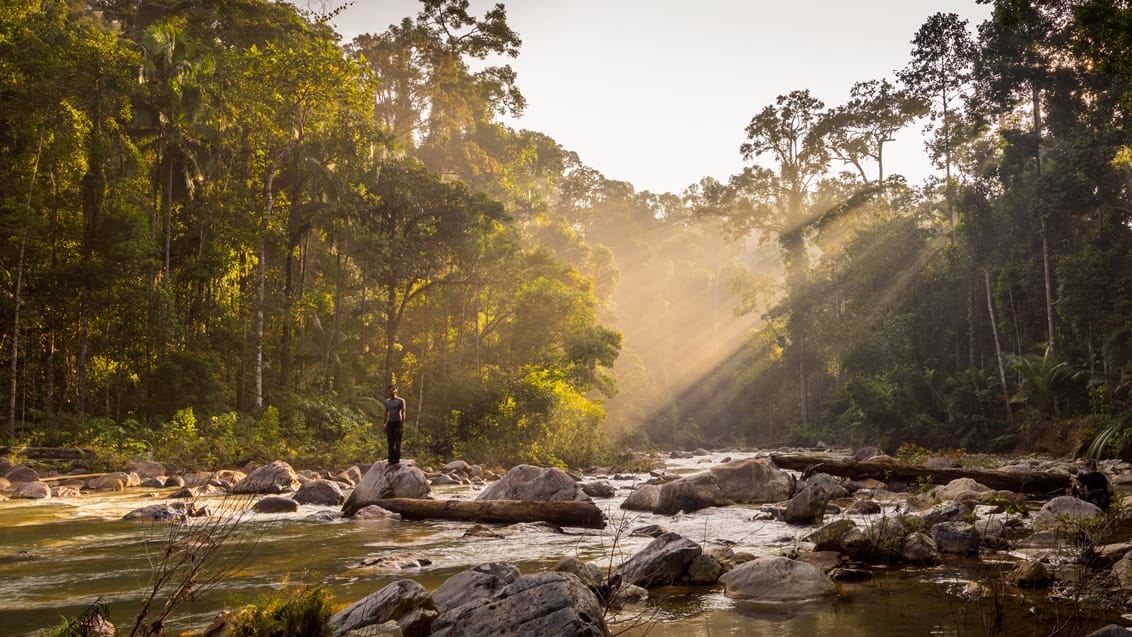 Taman Negara