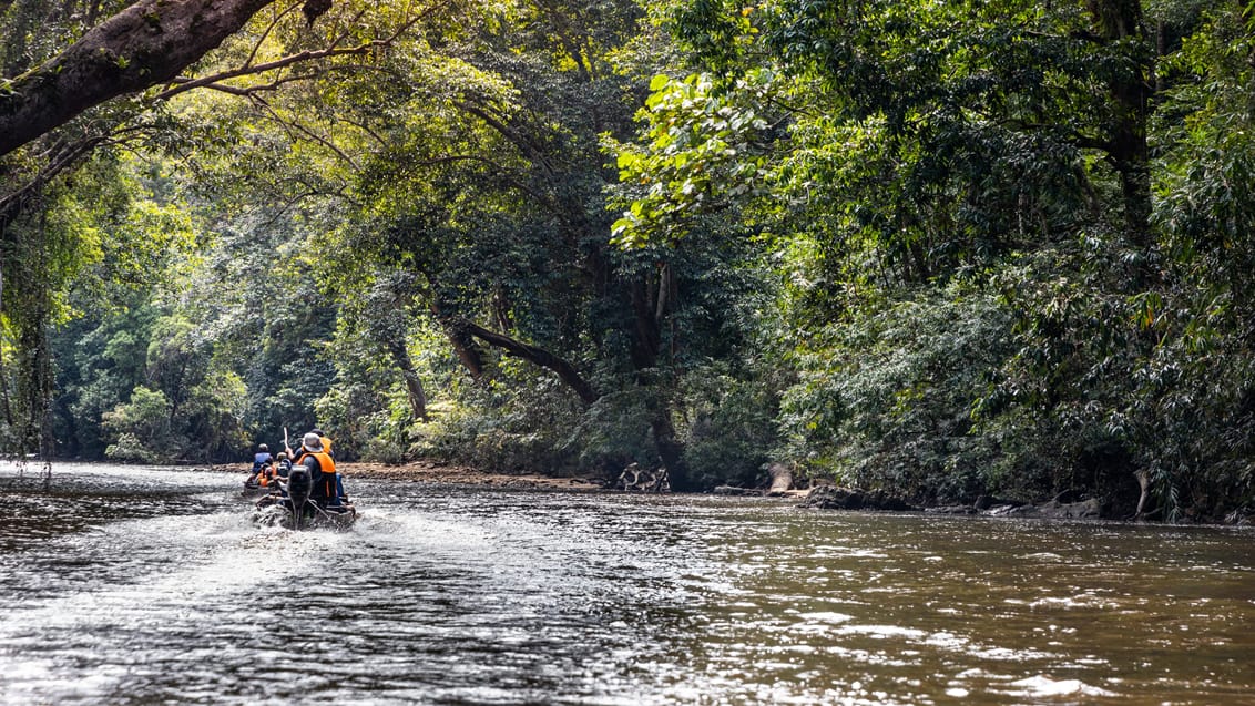 Taman Negara