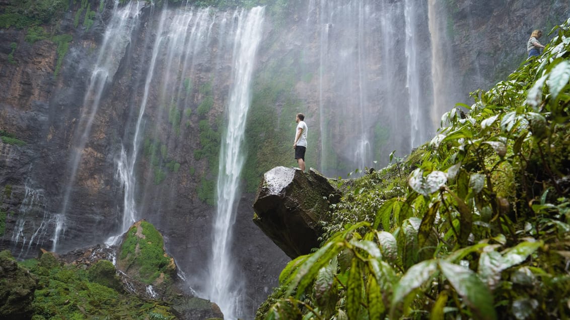 Tumpak Sewu-vandfald, Java
