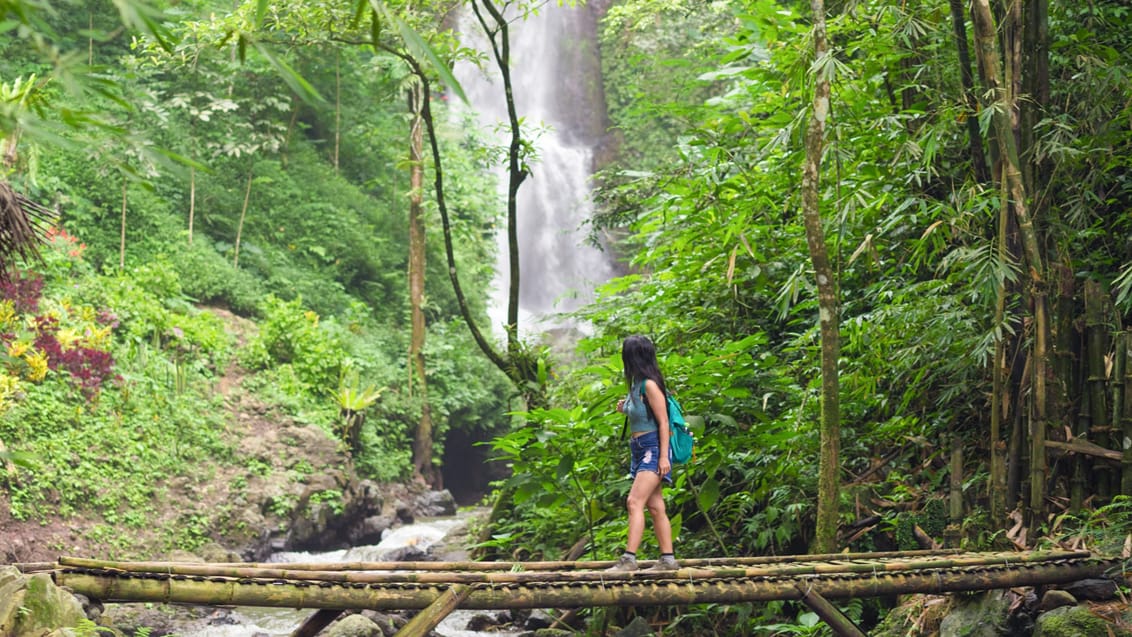 Vandring i Munduk, Bali