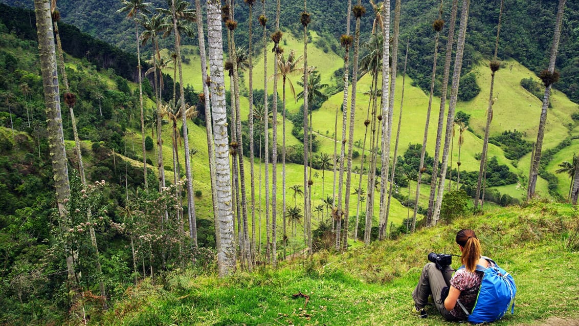 Cocora Valley, Colombia Cocora Valley, Colombia