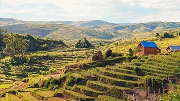 Klassik rundrejse i Madagaskar med kant