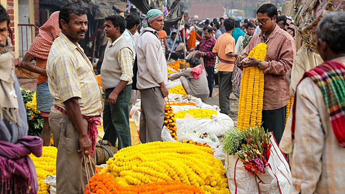 Travlt blomstermarked i Kolkata med farverige blomsterkranse og lokale handlende