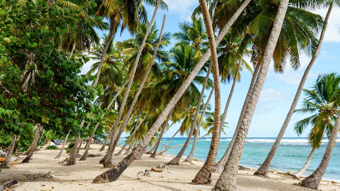 Las Galeras, Samaná Las Galeras, Samaná