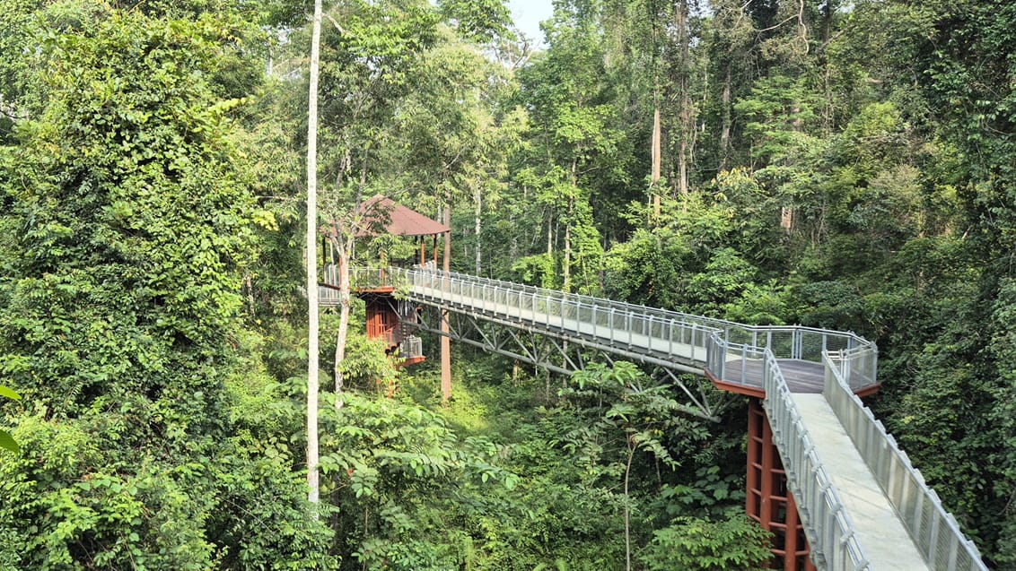 Merapoh, Taman Negara